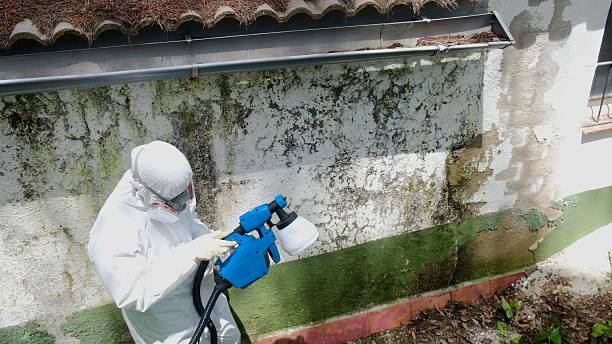 Top rated local Mold Remediation specialists in Shrewsbury, PA